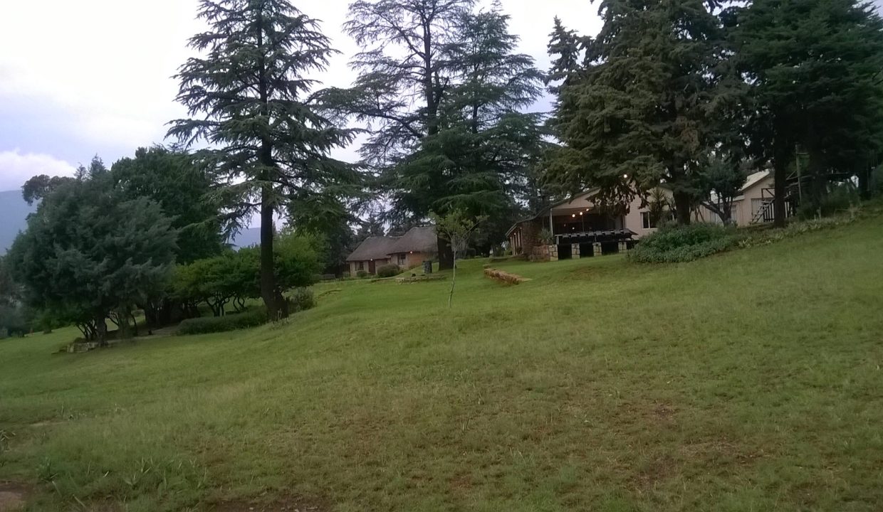 462489362_3822574734728133_8118526348532264758_n