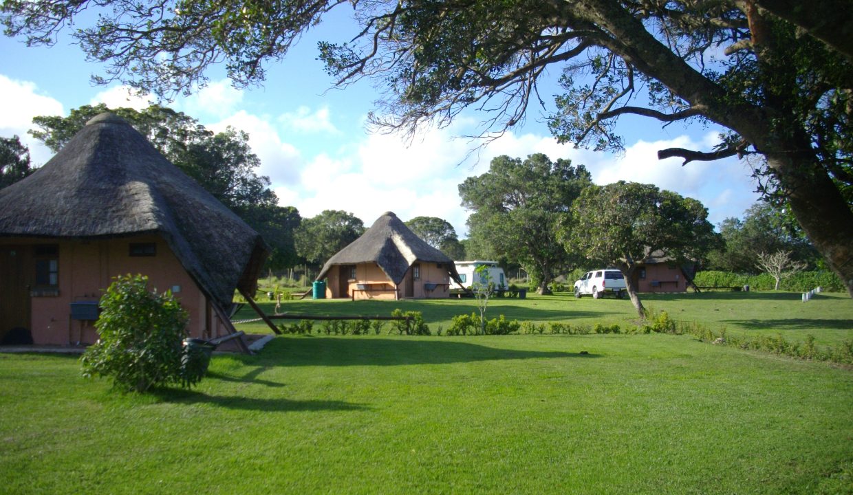 IMGP0588