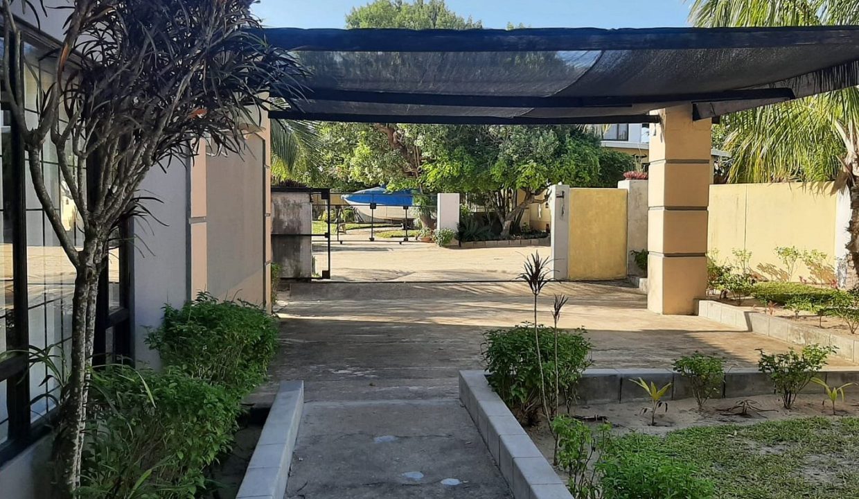 free-parking