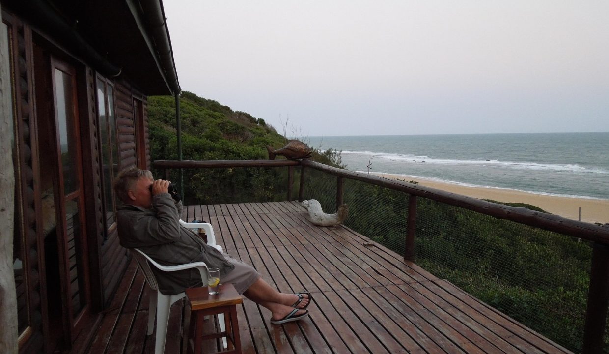 from-the-deck