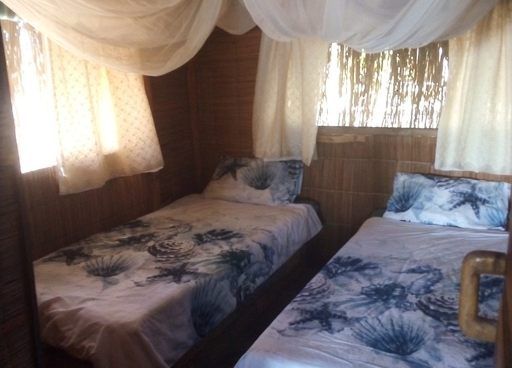 087d47415477f5fddd605414a550468d