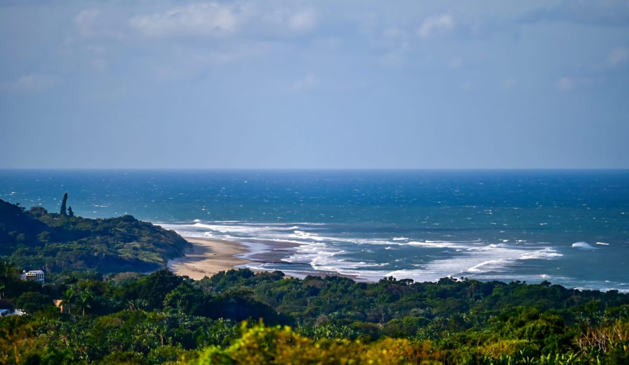 IMG-20230728-WA0262
