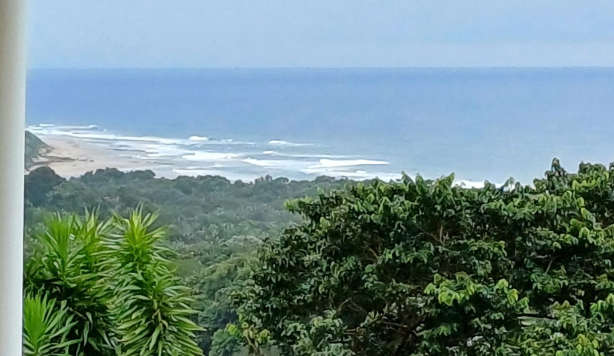 View 2