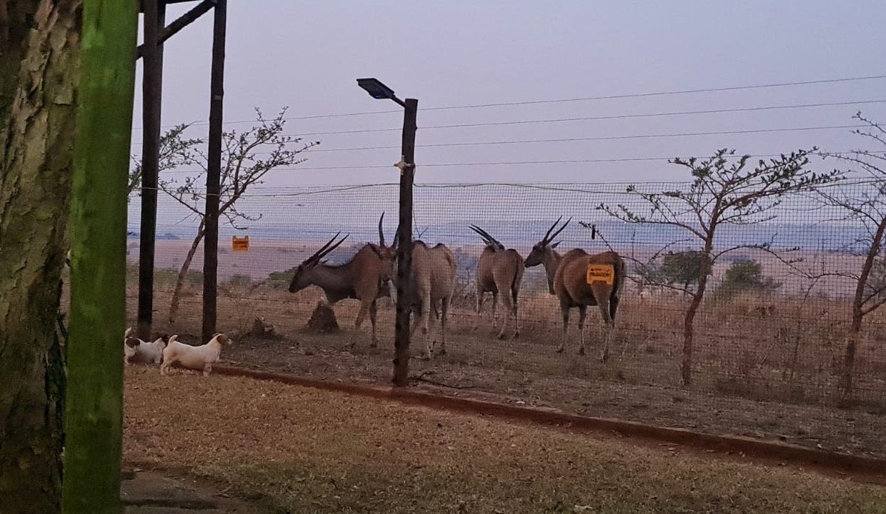WhatsApp Image 2025-04-04 at 13.15.28 (1)