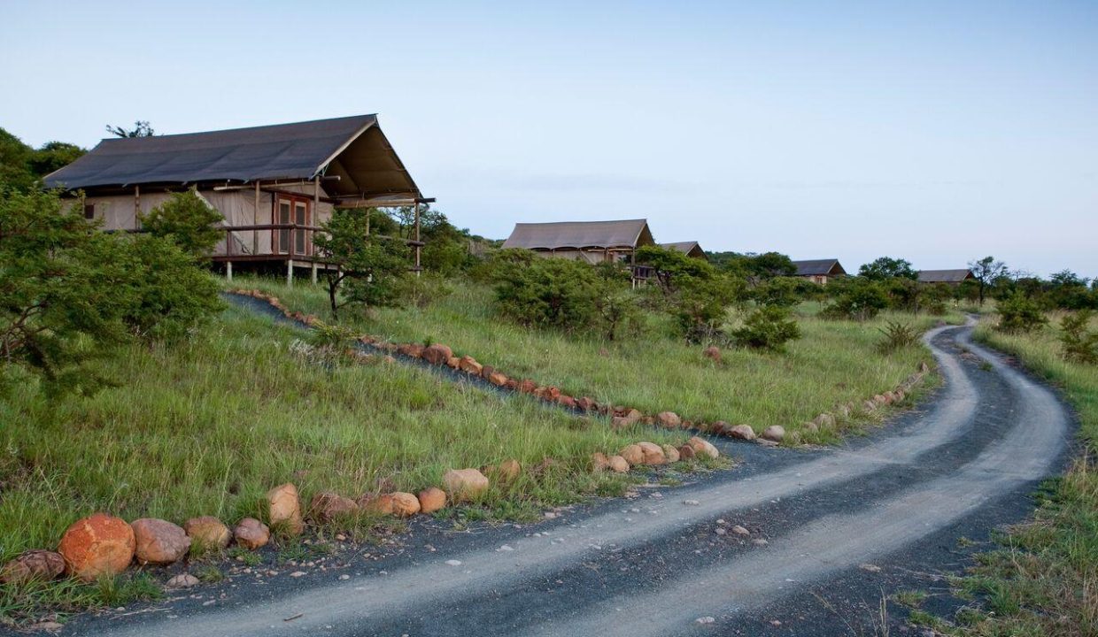 springbok_lodge_125
