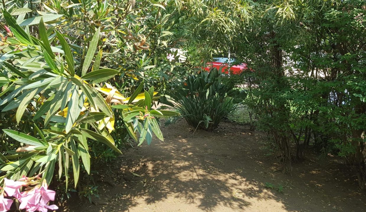 Garden 1