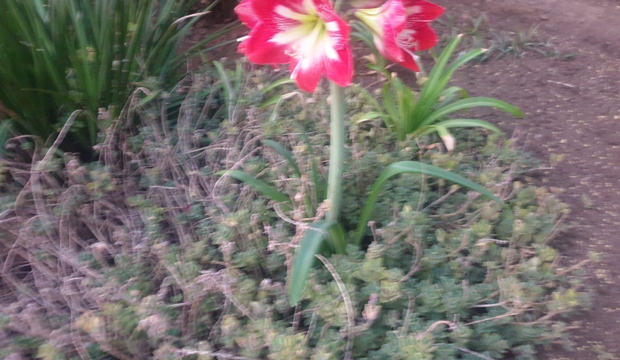 IMG-20221013-WA0011
